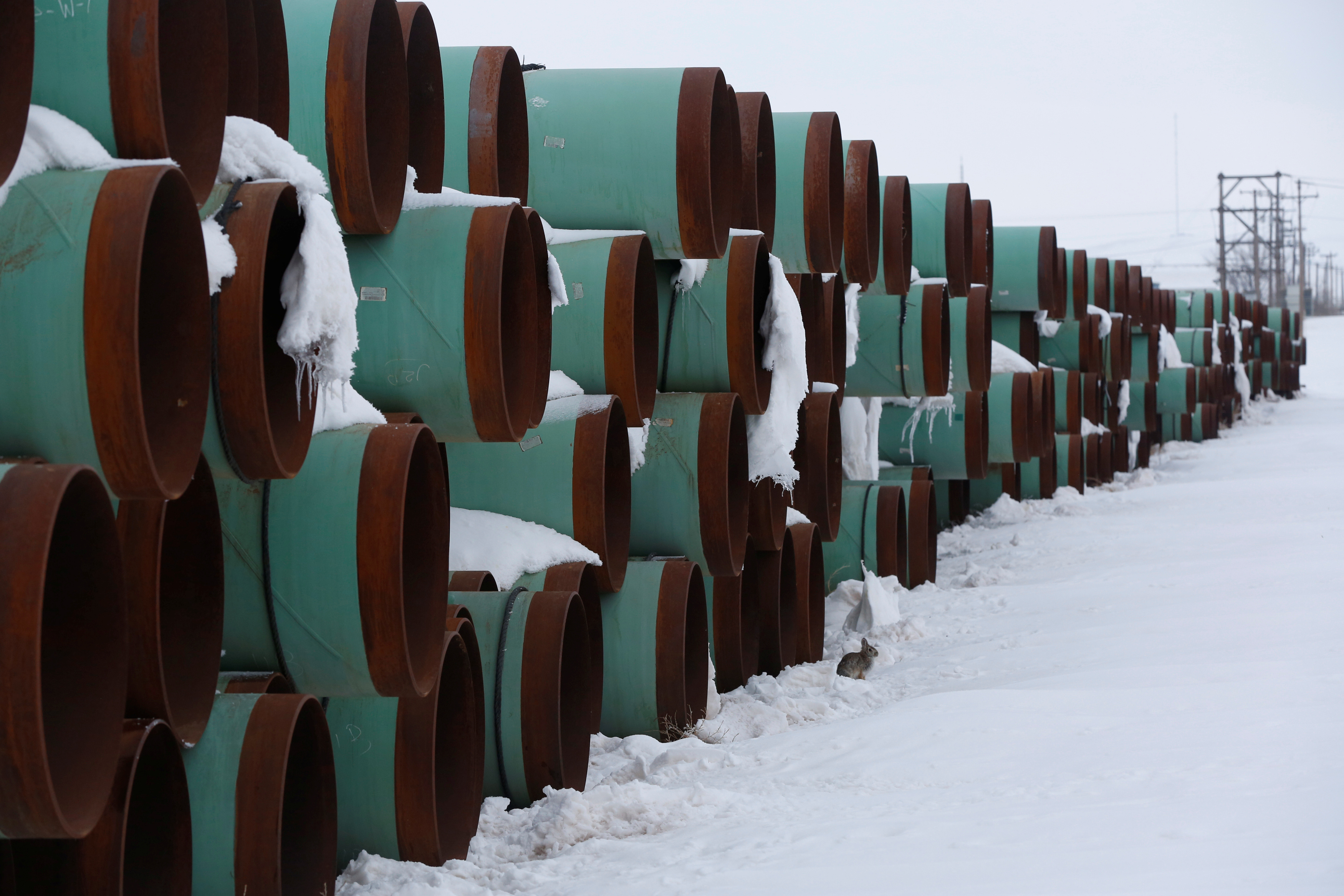 Biden set to ditch $9 billion Keystone XL oil pipeline plan