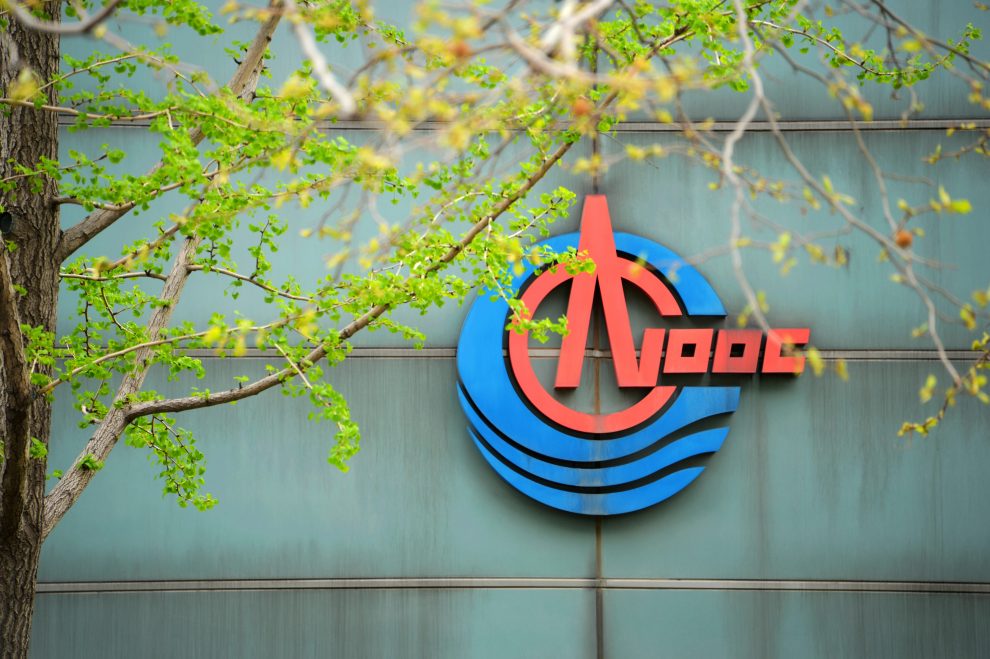China oil ipo cash flow from investing activities equations