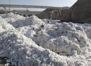 US pulls back from broad bans on Xinjiang cotton, tomatoes
