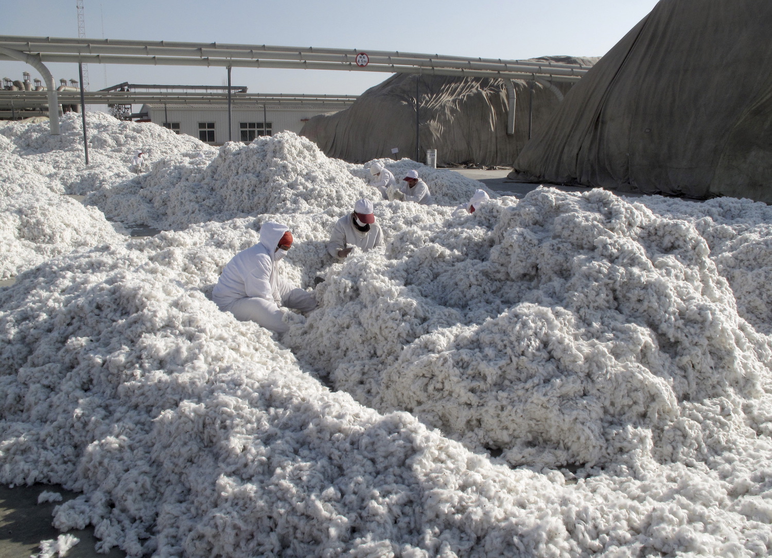 USA bans all cotton products and tomatoes from Xinjiang over