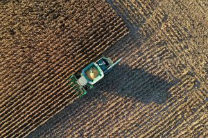 US maize futures hit highest mark since 2013 on China demand