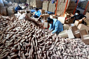 China pushes ‘inclusive finance’ and insurance to reduce poverty