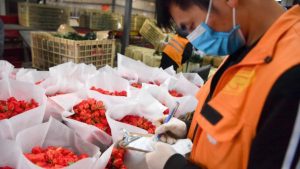 China virus outbreak shrivels small firms