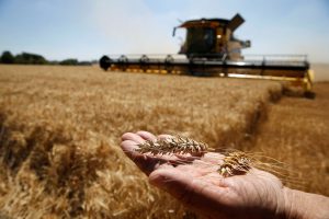 China advises France to export better quality wheat