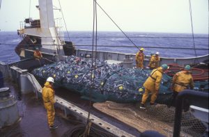 WTO fails to reach deadline to stop overfishing