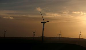 China Fund Chiefs Turn To Wind Power As Green Demands Grow