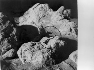 NASA to pay company $1 to collect moon rocks
