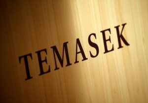 Temasek ‘eyeing stake in Ant IPO’