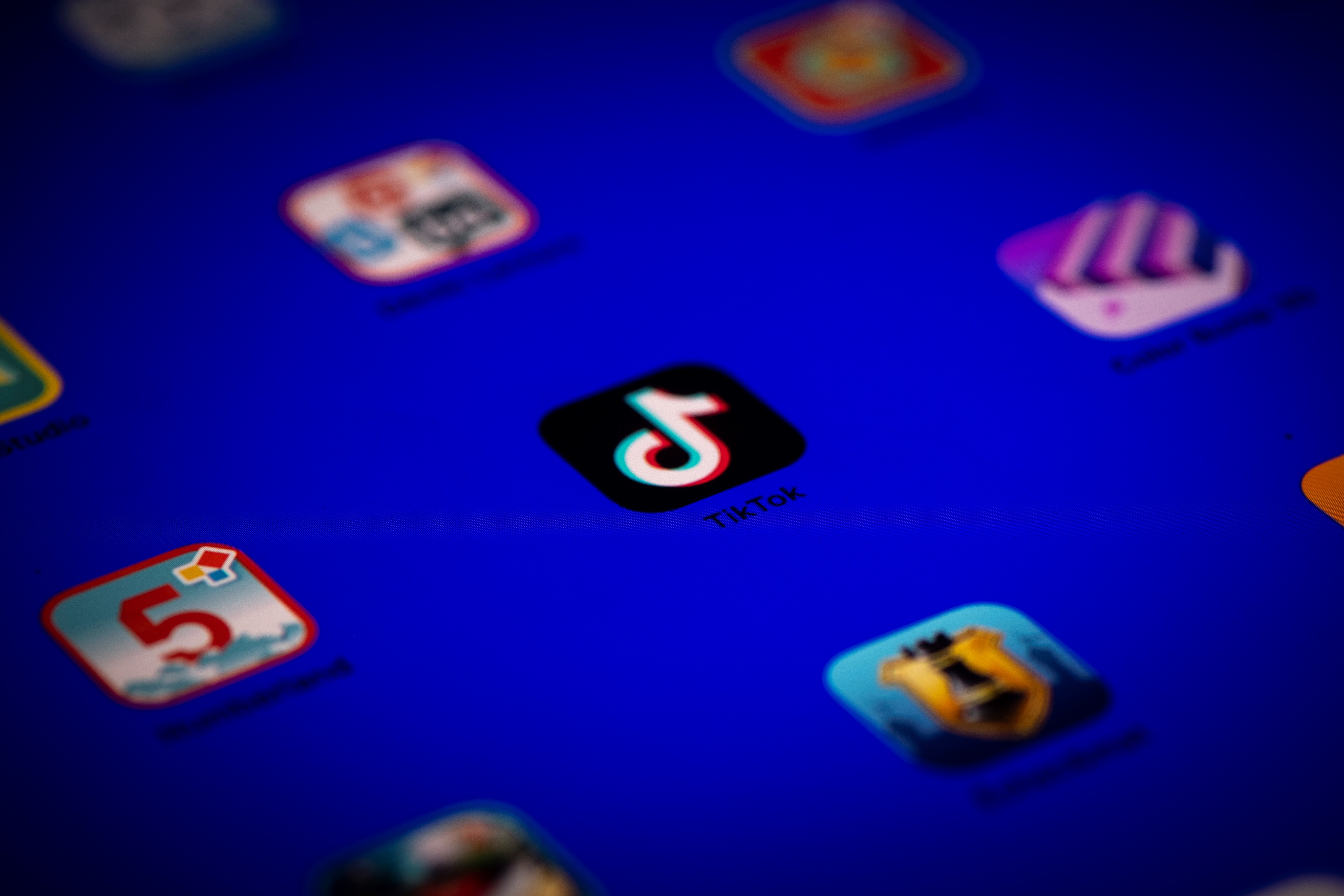 TikTok proposes social media coalition to curb harmful content