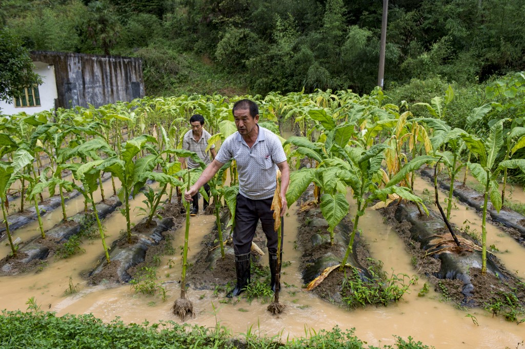 Growing Food Shortages, Rising Food Prices in China