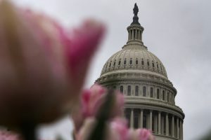 US Senate Bill Has Big Tech Scared – Ars Technica