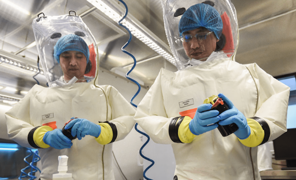Wuhan lab virus leak ‘no longer discounted’: Cobra