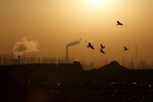 China’s Emissions Trading Scheme Reaches $156m