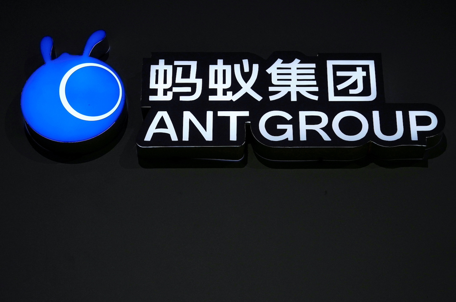 Ant group logo