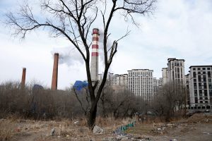 Harbin Among First Chinese Cities Now Helping Developers