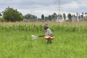 Fertiliser Shortage Heaps Pressure on India: FT