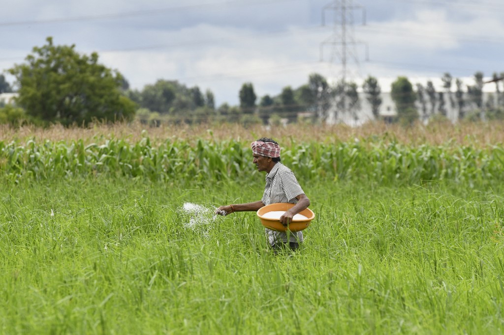 Fertiliser Shortage Heaps Pressure on India: FT