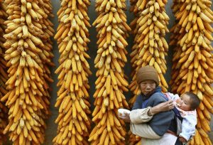 China Stockpiling Enough Grain: Xinhua