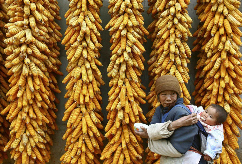 China Stockpiling Enough Grain: Xinhua