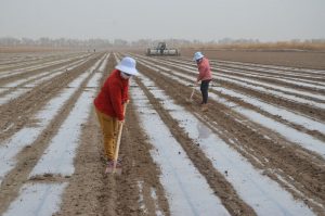 China Slams US ‘Bullying’ Over Xinjiang Import Ban