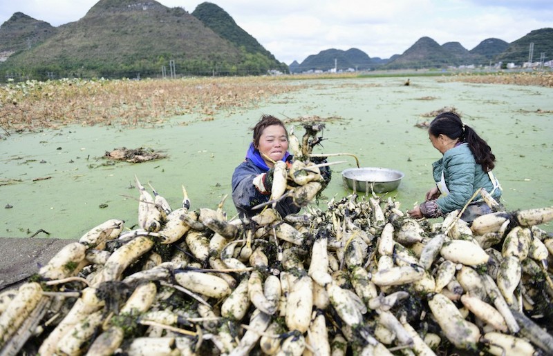 Rural Poverty Biggest Obstacle to China’s Rise: NZZ