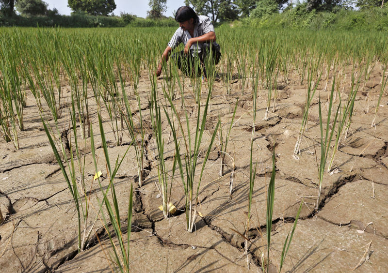 South Asia drought