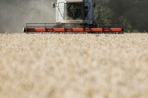 US Accuses China of Hoarding 'Humanitarian' Ukraine Grain