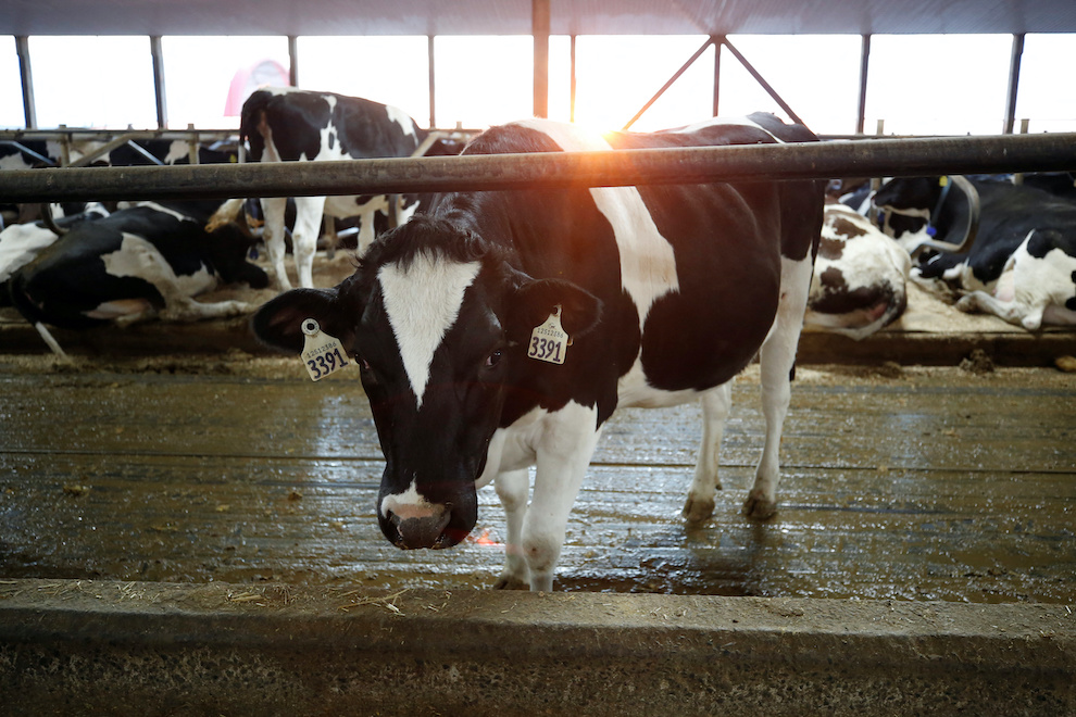 China, Philippines Suspend Beef Imports from Canada after BSE case