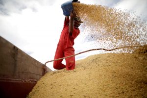 Bad Weather Boosts US Soybean Farmers' China Hopes