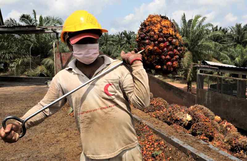 Global Market Won’t Dictate Palm Oil Price, Says Indonesia