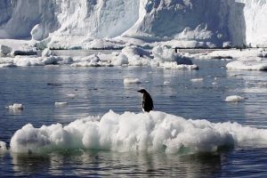 Australia, Eyeing China, to Boost Antarctic Presence