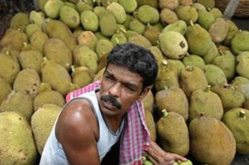 Jackfruit