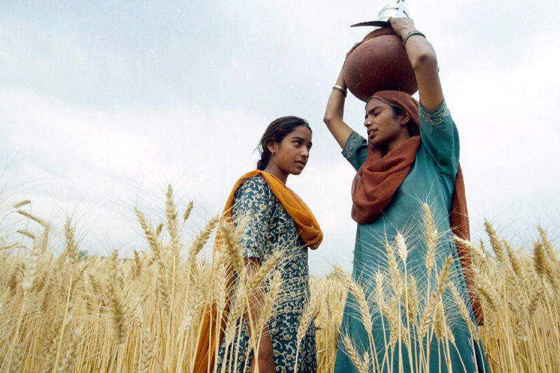 Russia-Ukraine War Puts Indian Wheat in Spotlight