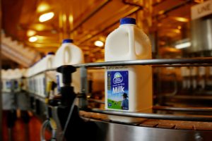 Global Dairy Prices Fall as Chinese Demand Evaporates