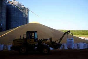 US Futures Fall as China Signs Brazil Maize Import Deal