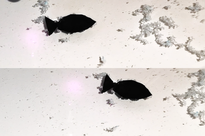A light-activated fish-shaped robot collects microplastics as it swims. Image source: acs.org / Nano Letters