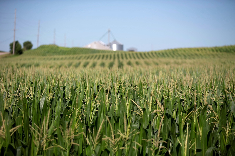 China Buys Record $17.5bn of US Farm Goods in First Half