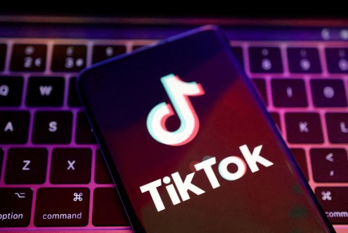 TikTok app logo is seen in this illustration