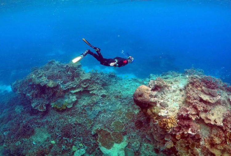 Australia's Environment Minister has rejected an application for a new coal mine close to the Great Barrier Reef amid concern about emissions as well as preservation of the ocean ecosystem.