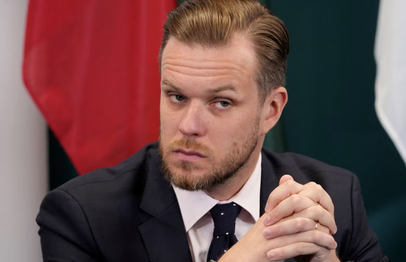 Lithuania's Foreign Minister Gabrielius Landsbergis listens during a Nordic-Baltic cooperation foreign ministers meeting in Kaunas, Lithuania, on September 7, 2022. Photo: Reuters