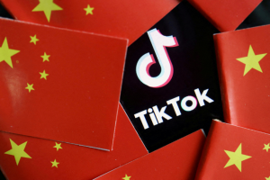 TikTok Staff Spied on UK Journo Through Her Cat's Account - BBC