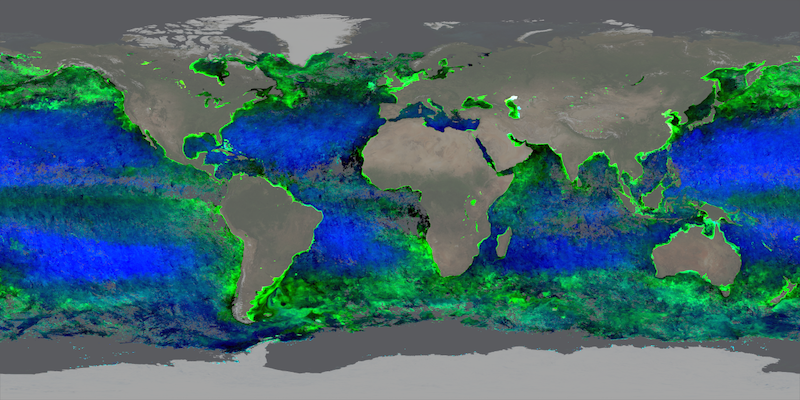 World’s Oceans Changing Colour, Study Finds – Guardian