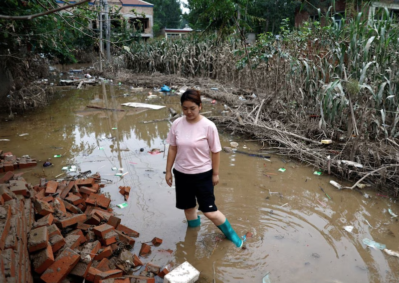 Wang Dan, 30, stands in floodwaters near a damaged corn farm, after rain and floods brought by remnants of Typhoon Doksuri, at a village in Zhuozhou, Hebei province, China August 7, 2023. REUTERS/Tingshu Wang/File Photo