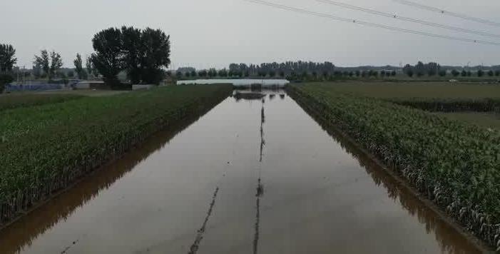 China's new bank loans plunged in July, while concerns rise about crops hit by flooding in the north.