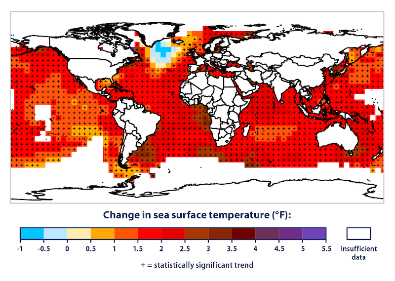 Scientists Fear Record Ocean Heat Is Changing Earth’s Systems