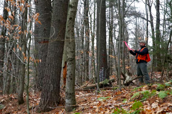 Chris Pryor, director of forest stewardship at New England Forestry Foundation, looks at a marked tree in the Hersey Mountain Wilderness in New Hampton, New Hampshire, U.S., December 4, 2020. NEFF worked with Finite Carbon to register carbon offset credits on the forestland with the California.