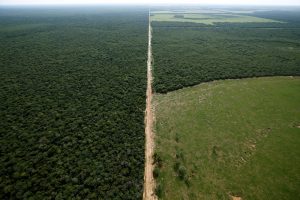 Furore Erupts After EC Agrees to Delay Forest Protection Rule