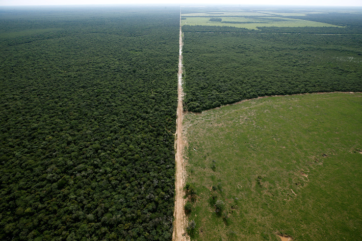 Furore Erupts After EC Agrees to Delay Forest Protection Rule