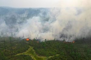 Arctic Tundra Now Emits More Carbon Than it Stores