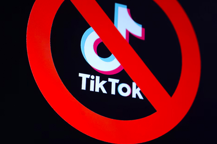 TikTok’s Fate is Now Firmly in Donald Trump’s Hands